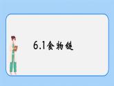 6.1《食物链》课件