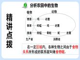 6.1《食物链》课件