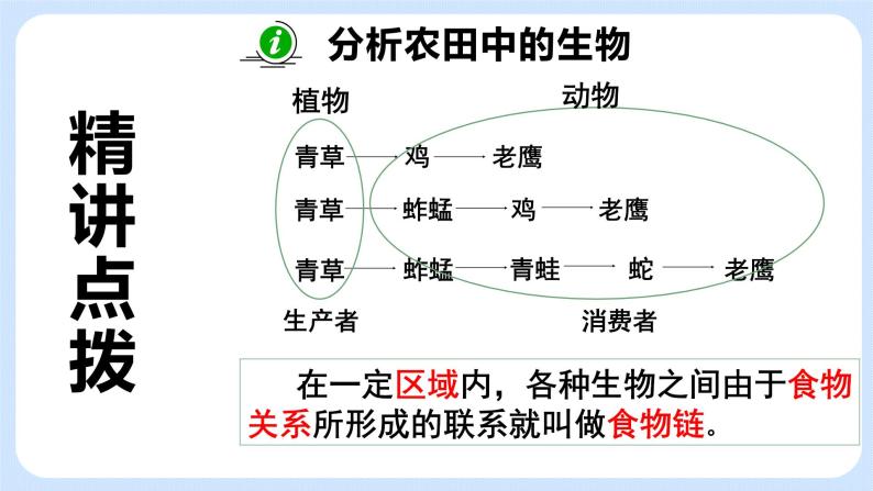 6.1《食物链》课件04