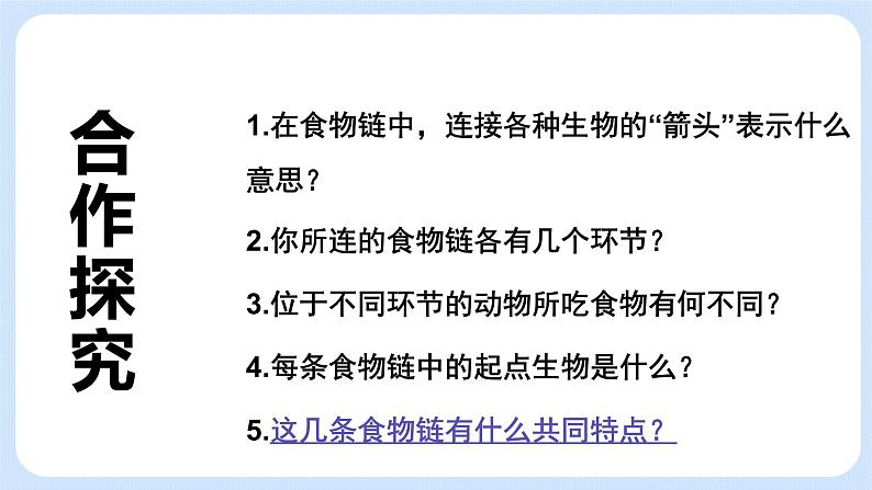 6.1《食物链》课件第5页