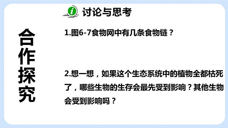 6.2《食物网》课件04