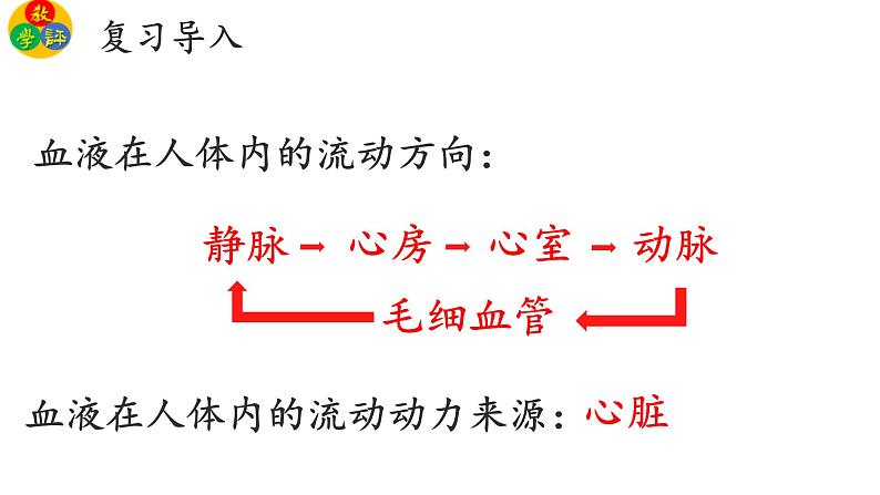 3.3.3物质运输的途径课件PPT05