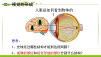 初中生物鲁科版 (五四制)七年级下册第一节 人体对外界环境的感知多媒体教学课件ppt