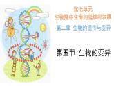 人教版第五节生物的变异课件PPT