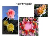 人教版第五节生物的变异课件PPT