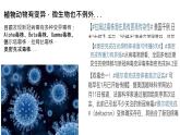 人教版第五节生物的变异课件PPT