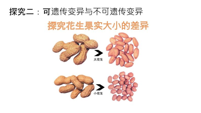 生物八年级下册第五节 生物的变异说课课件ppt-教习网|课件下载