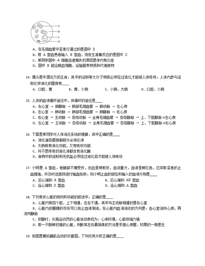 2022-2023学年河北石家庄新华区七下期中生物模拟试卷（含解析）03