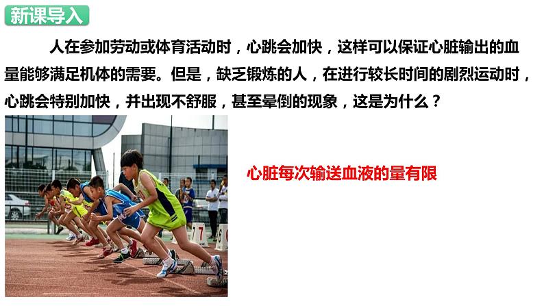 4.4.3输送血液的泵——心脏（第2课时） 课件02