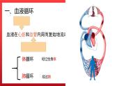 4.3输送血液的泵——心脏（第二课时）课件PPT