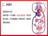 4.3输送血液的泵——心脏（第二课时）课件PPT