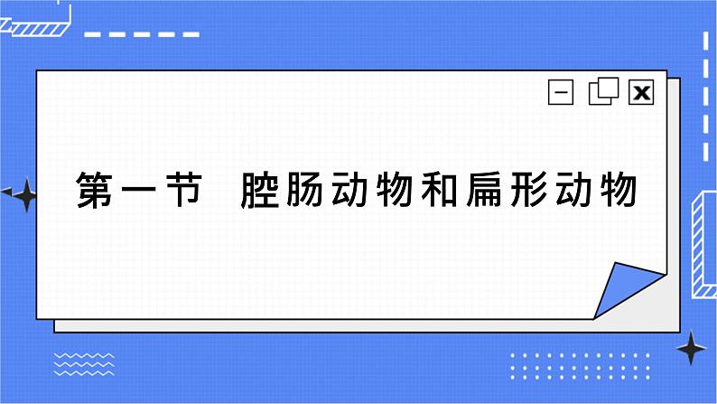 5.1.1  腔肠动物和扁形动物 课件 人教版八年级上册生物 (3视频素材)03