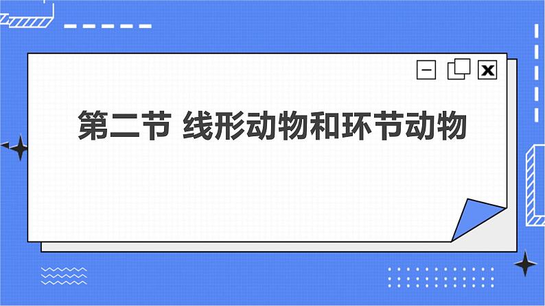 5.1.2 线形动物和环节动物 课件 人教版八年级上册生物 (2视频素材)02