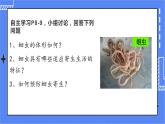 5.1.2 线形动物和环节动物 课件 人教版八年级上册生物 (2视频素材)