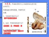 5.1.3 软体动物和节肢动物 课件 人教版八年级上册生物 3视频素材)