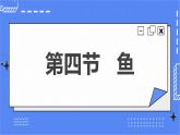 5.1.4 鱼 课件 人教版八年级上册生物（含视频）