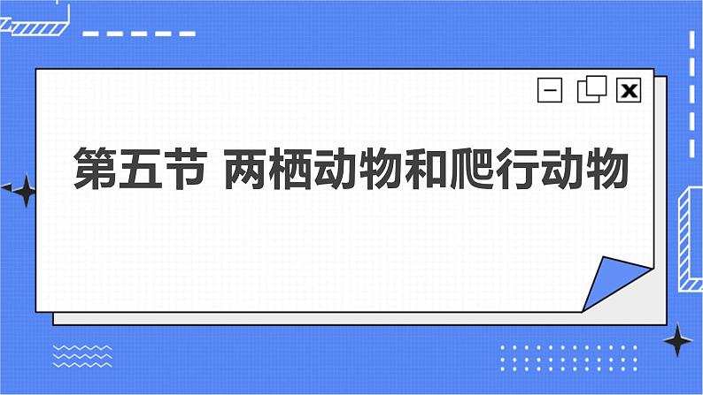 5.1.5 两栖动物和爬行动物 课件 人教版八年级上册生物（含视频）02