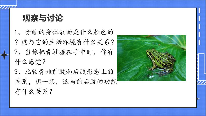 5.1.5 两栖动物和爬行动物 课件 人教版八年级上册生物（含视频）04
