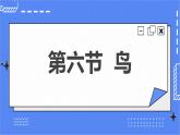 5.1.6 鸟 课件 人教版八年级上册生物(含视频) (3份打包)