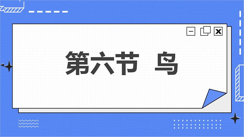 5.1.6 鸟 课件 人教版八年级上册生物(含视频) (3份打包)03