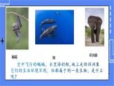 5.1.7 哺乳动物 课件 人教版八年级上册生物(含视频)