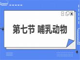 5.1.7 哺乳动物 课件 人教版八年级上册生物(含视频)