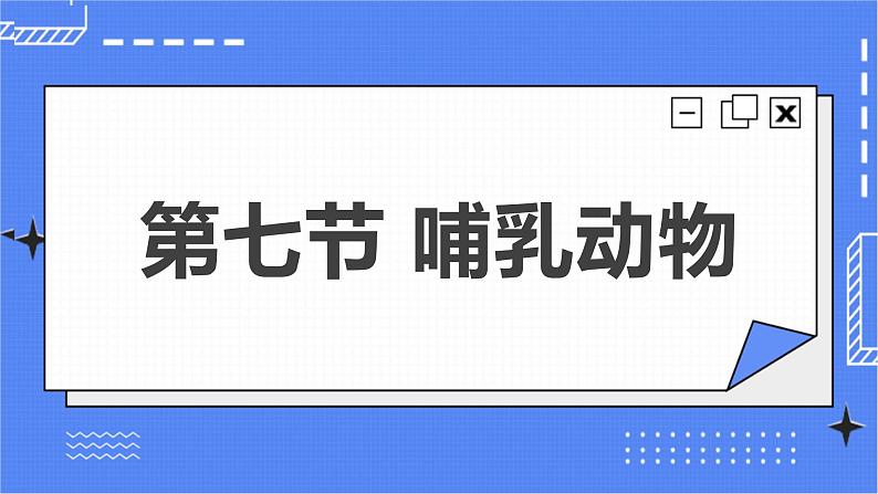 1.7 哺乳动物第2页