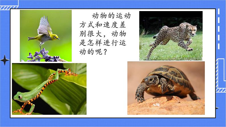 5.2.1 动物的运动 课件 人教版八年级上册生物(含视频)01