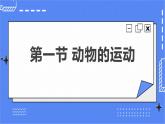 5.2.1 动物的运动 课件 人教版八年级上册生物(含视频)