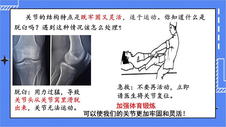 5.2.1 动物的运动 课件 人教版八年级上册生物(含视频)06