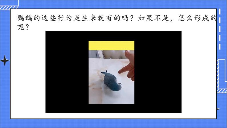 5.2.2 先天性行为和学习行为 课件 人教版八年级上册生物(含视频)01