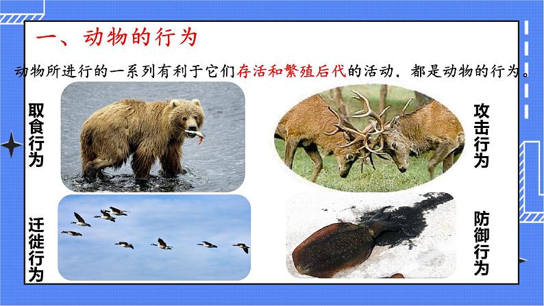 5.2.2 先天性行为和学习行为 课件 人教版八年级上册生物(含视频)03