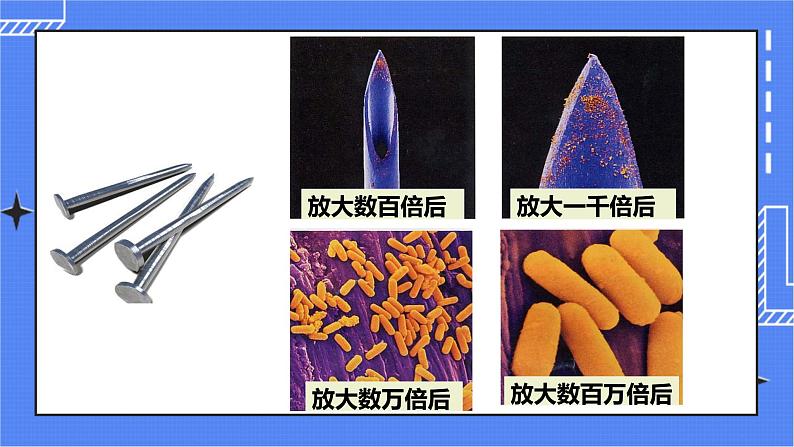 5.4.2 细菌 课件 人教版八年级上册生物(含视频)02