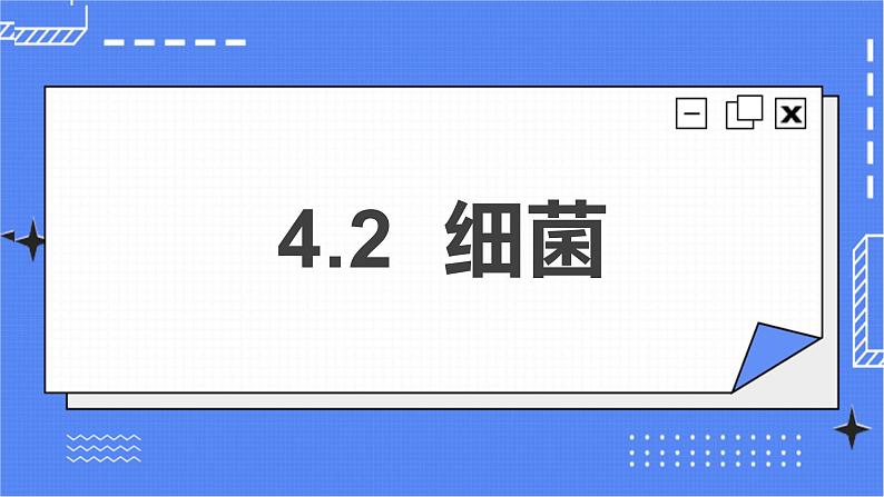 5.4.2 细菌 课件 人教版八年级上册生物(含视频)03