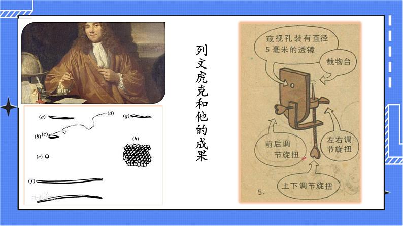 5.4.2 细菌 课件 人教版八年级上册生物(含视频)05