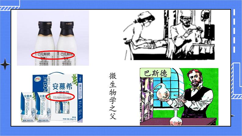 5.4.2 细菌 课件 人教版八年级上册生物(含视频)08