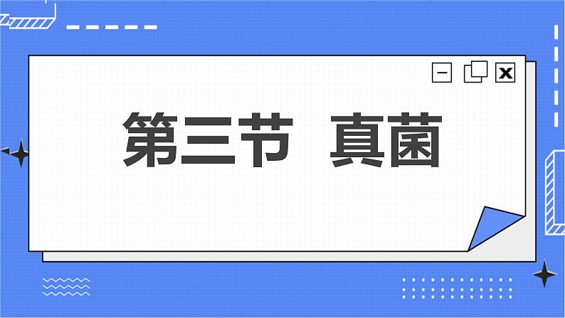 5.4.3 真菌课件 人教版八年级上册生物(含视频)02