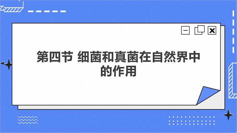 5.4.4 细菌和真菌在自然界中的作用 课件 人教版八年级上册生物(含视频)02
