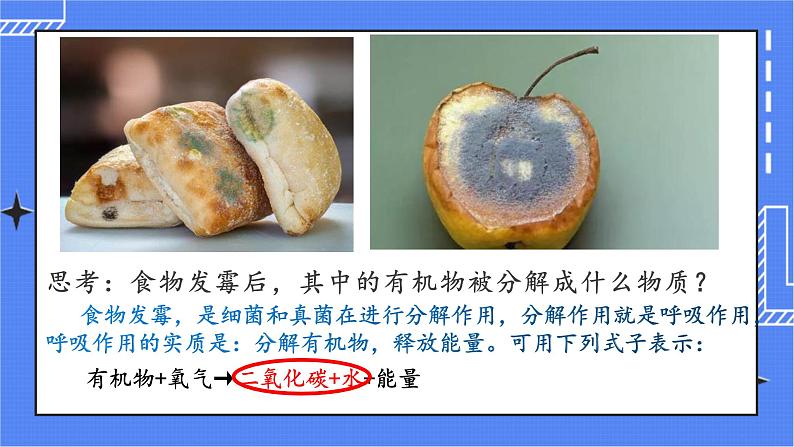 5.4.4 细菌和真菌在自然界中的作用 课件 人教版八年级上册生物(含视频)03