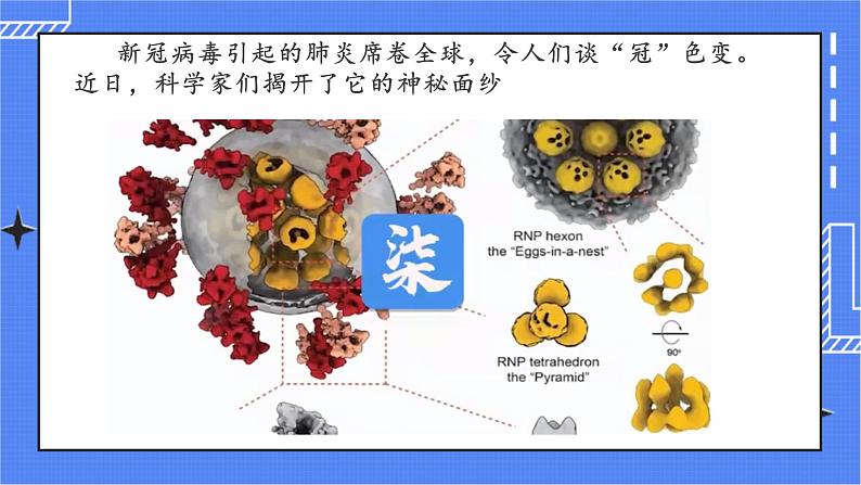 5 病毒第1页