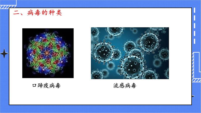 5 病毒第6页