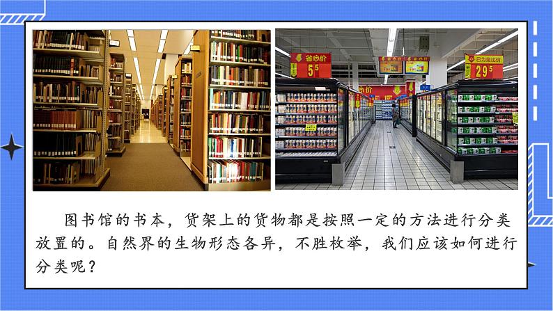 6.1.1 尝试对生物进行分类 课件 人教版八年级上册生物(含视频)01