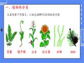 6.1.1 尝试对生物进行分类 课件 人教版八年级上册生物(含视频)