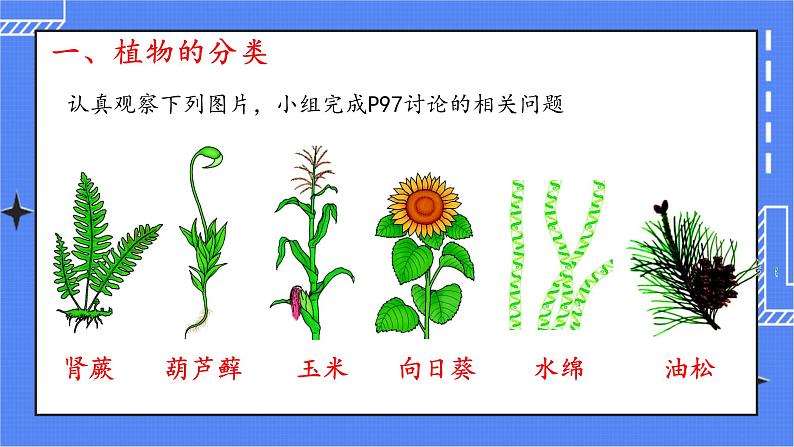 6.1.1 尝试对生物进行分类 课件 人教版八年级上册生物(含视频)03