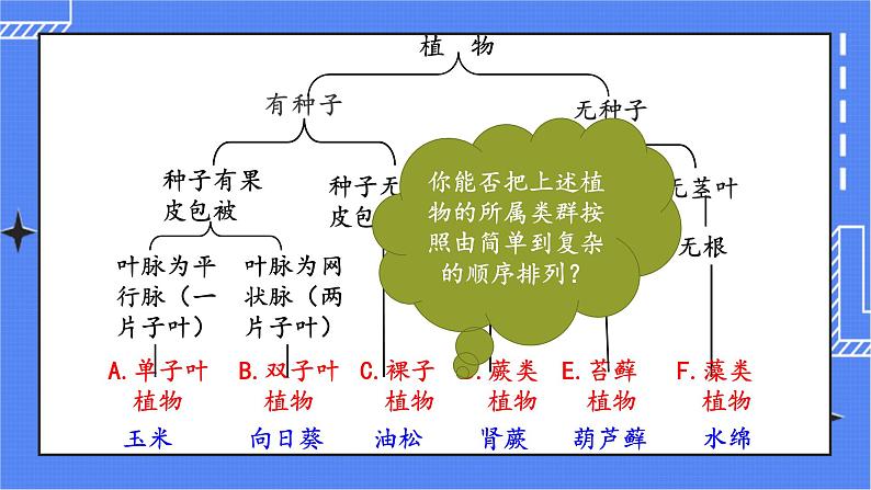 6.1.1 尝试对生物进行分类 课件 人教版八年级上册生物(含视频)04