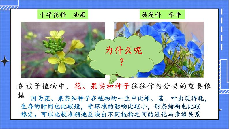 6.1.1 尝试对生物进行分类 课件 人教版八年级上册生物(含视频)07