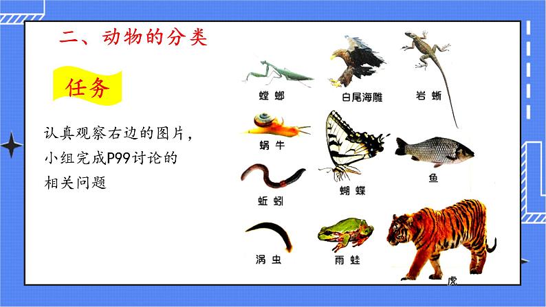 6.1.1 尝试对生物进行分类 课件 人教版八年级上册生物(含视频)08