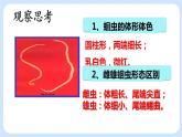 1.2《线形动物和环节动物》（第二课时）课件+教案