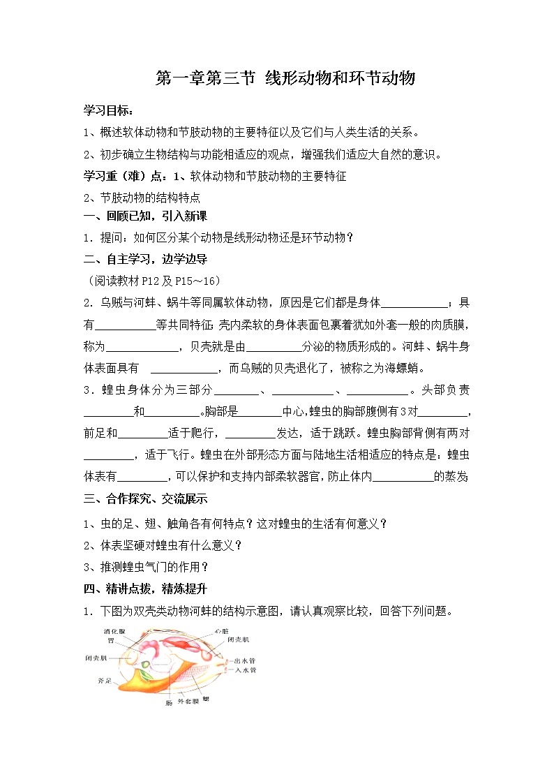 1.3 线形动物和环节动物 教案第1页