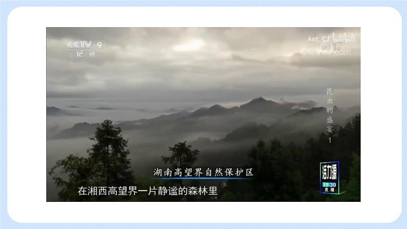 1.2.1 环境对生物的影响 课件+教案01